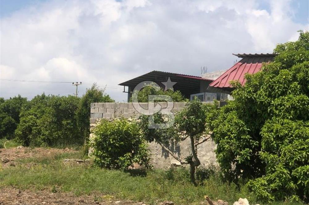 Mezitli Tece’de Soğuk Hava Deposu + Konutlu Eşsiz Tarla Fırsatı