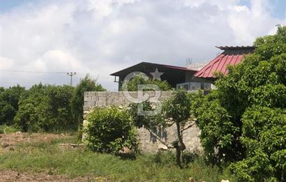 Mezitli Tece’de Soğuk Hava Deposu + Konutlu Eşsiz Tarla Fırsatı