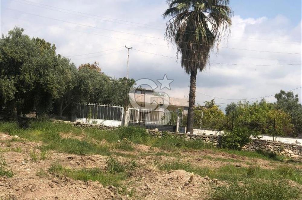 Mezitli Tece’de Soğuk Hava Deposu + Konutlu Eşsiz Tarla Fırsatı