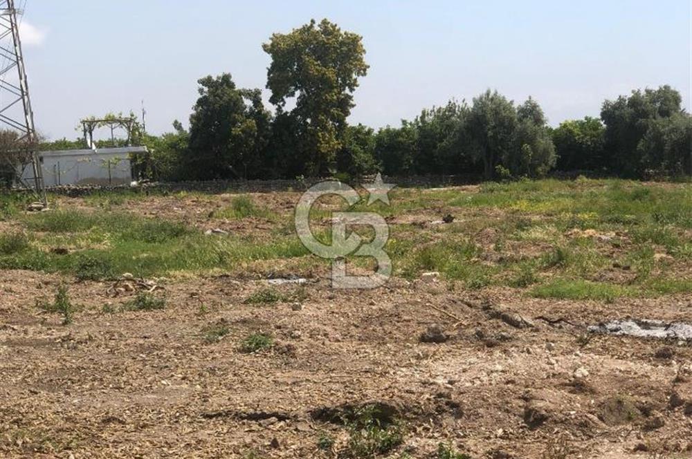 Mezitli Tece’de Soğuk Hava Deposu + Konutlu Eşsiz Tarla Fırsatı