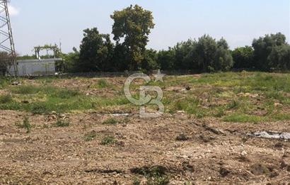 Mezitli Tece’de Soğuk Hava Deposu + Konutlu Eşsiz Tarla Fırsatı