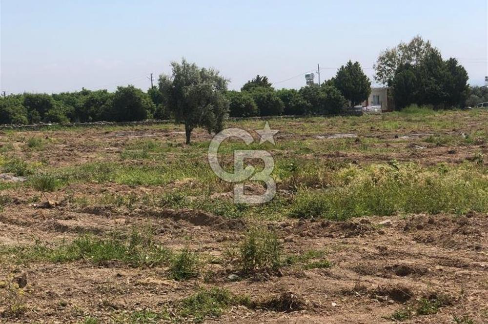 Mezitli Tece’de Soğuk Hava Deposu + Konutlu Eşsiz Tarla Fırsatı