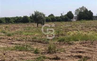 Mezitli Tece’de Soğuk Hava Deposu + Konutlu Eşsiz Tarla Fırsatı