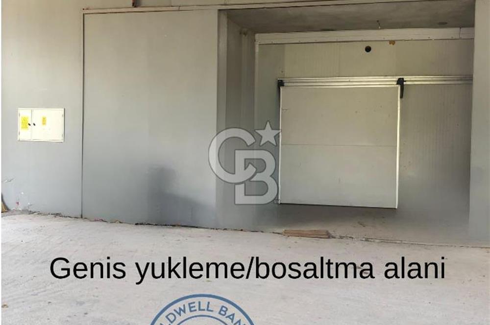 Mezitli Tece’de Soğuk Hava Deposu + Konutlu Eşsiz Tarla Fırsatı
