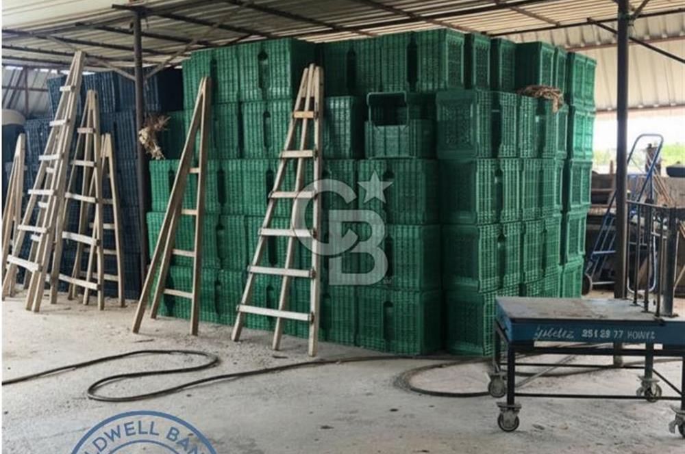 Mezitli Tece’de Soğuk Hava Deposu + Konutlu Eşsiz Tarla Fırsatı