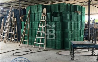 Mezitli Tece’de Soğuk Hava Deposu + Konutlu Eşsiz Tarla Fırsatı