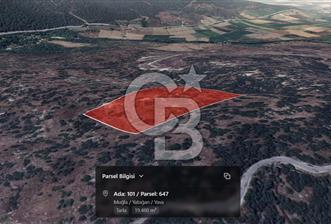 Muğla Yatağan Yava'da Satılık 2.925.000 TL Yatırımlık Tarla - 6 - 345703