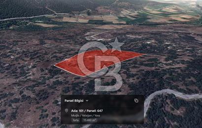 Muğla Yatağan Yava'da Satılık 2.925.000 TL Yatırımlık Tarla