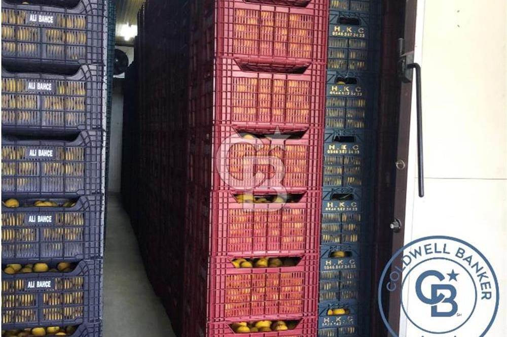 Mezitli Tece’de Soğuk Hava Deposu + Konutlu Eşsiz Tarla Fırsatı
