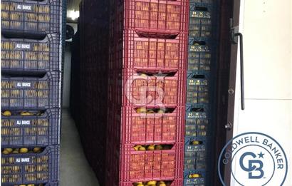 Mezitli Tece’de Soğuk Hava Deposu + Konutlu Eşsiz Tarla Fırsatı