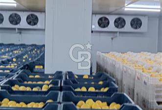 Mezitli Tece’de Soğuk Hava Deposu + Konutlu Eşsiz Tarla Fırsatı - 9 - 345729