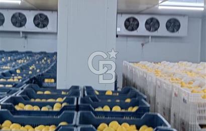 Mezitli Tece’de Soğuk Hava Deposu + Konutlu Eşsiz Tarla Fırsatı