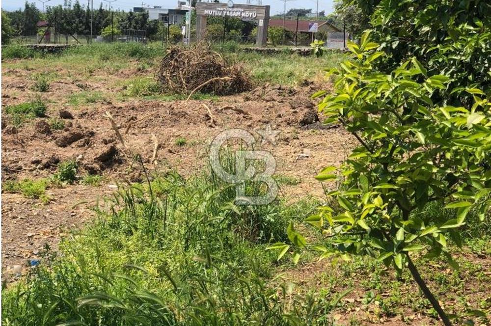 Mezitli Tece’de Soğuk Hava Deposu + Konutlu Eşsiz Tarla Fırsatı