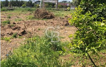 Mezitli Tece’de Soğuk Hava Deposu + Konutlu Eşsiz Tarla Fırsatı