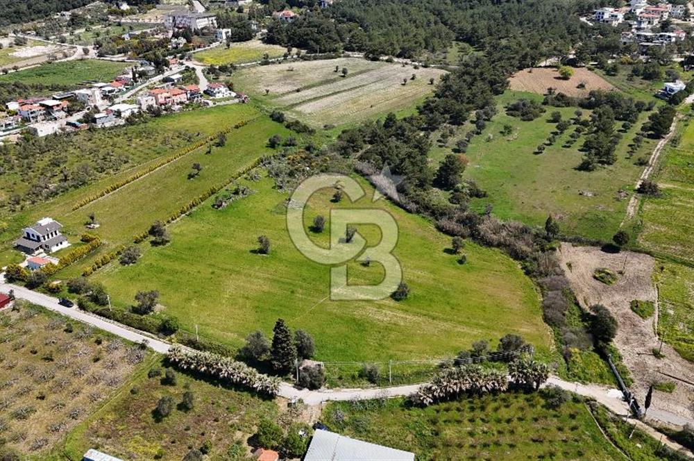 URLA KALABAK'TA 3300 M2 SATILIK HİSSELİ TARLA