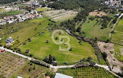 URLA KALABAK'TA 3300 M2 SATILIK HİSSELİ TARLA