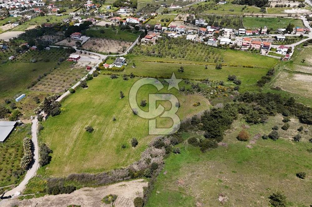 URLA KALABAK'TA 3300 M2 SATILIK HİSSELİ TARLA