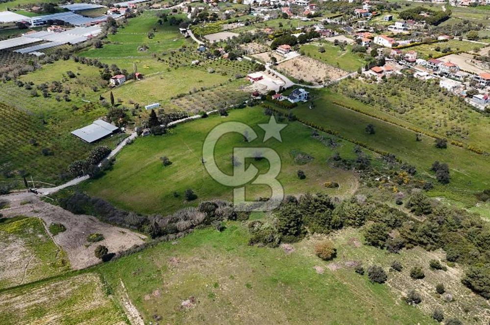 URLA KALABAK'TA 3300 M2 SATILIK HİSSELİ TARLA