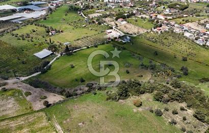 URLA KALABAK'TA 3300 M2 SATILIK HİSSELİ TARLA