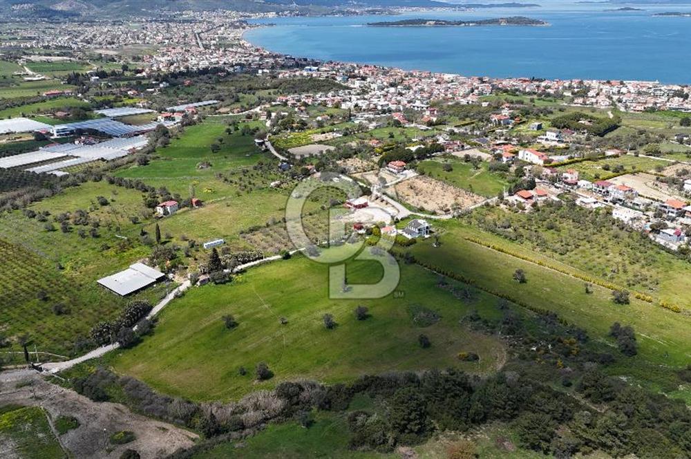 URLA KALABAK'TA 3300 M2 SATILIK HİSSELİ TARLA
