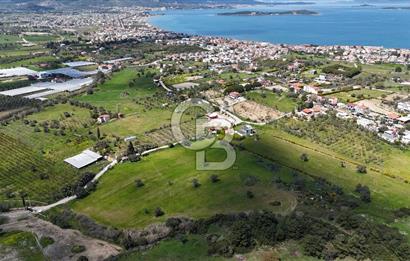 URLA KALABAK'TA 3300 M2 SATILIK HİSSELİ TARLA