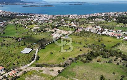 URLA KALABAK'TA 3300 M2 SATILIK HİSSELİ TARLA