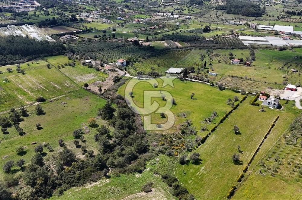 URLA KALABAK'TA 3300 M2 SATILIK HİSSELİ TARLA