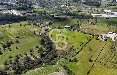 URLA KALABAK'TA 3300 M2 SATILIK HİSSELİ TARLA