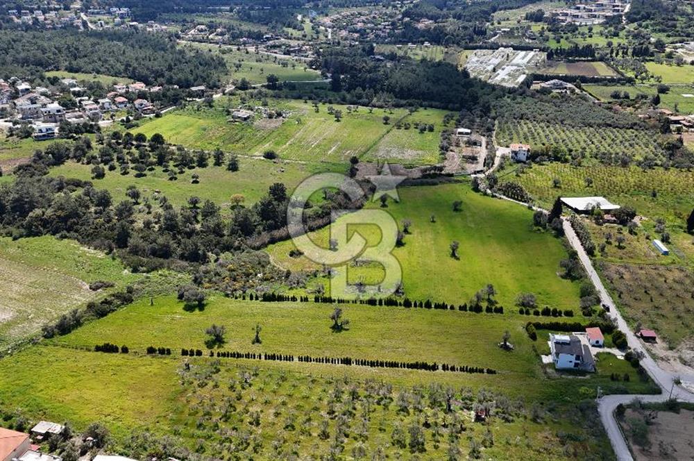 URLA KALABAK'TA 3300 M2 SATILIK HİSSELİ TARLA