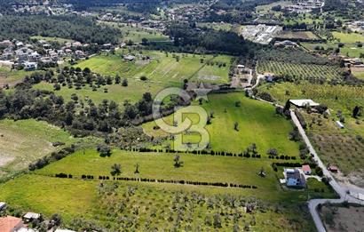 URLA KALABAK'TA 3300 M2 SATILIK HİSSELİ TARLA