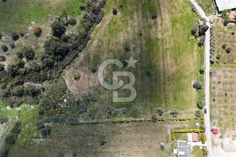 URLA KALABAK'TA 3300 M2 SATILIK HİSSELİ TARLA