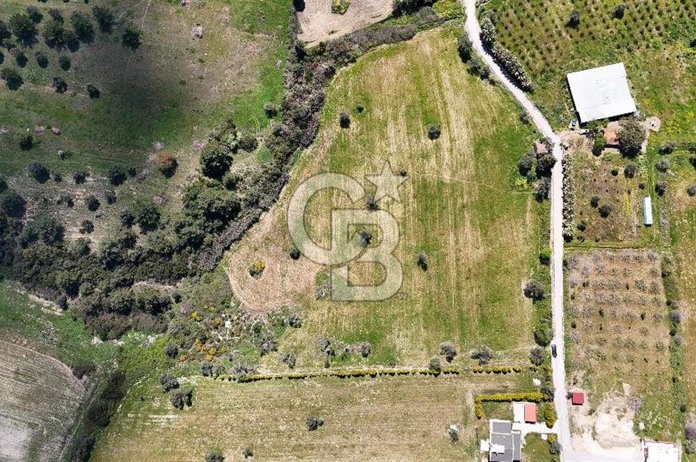 URLA KALABAK'TA 3300 M2 SATILIK HİSSELİ TARLA