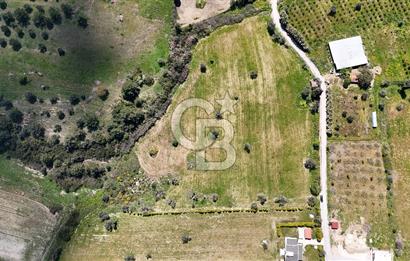 URLA KALABAK'TA 3300 M2 SATILIK HİSSELİ TARLA