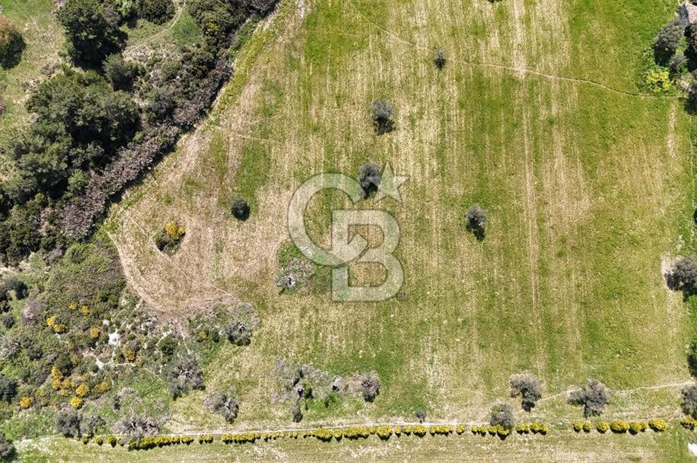 URLA KALABAK'TA 3300 M2 SATILIK HİSSELİ TARLA