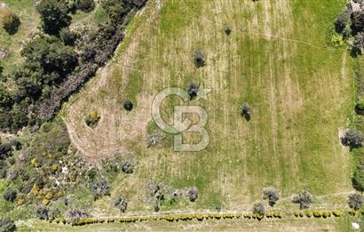 URLA KALABAK'TA 3300 M2 SATILIK HİSSELİ TARLA