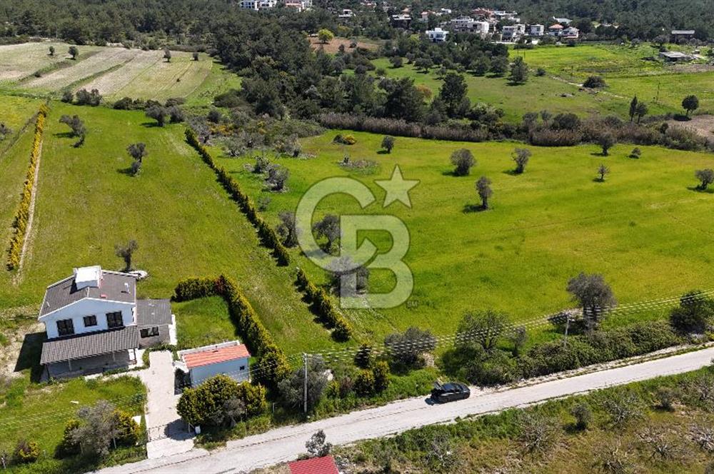 URLA KALABAK'TA 3300 M2 SATILIK HİSSELİ TARLA