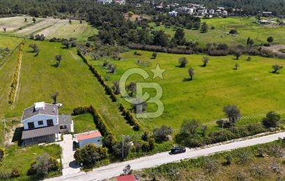 URLA KALABAK'TA 3300 M2 SATILIK HİSSELİ TARLA