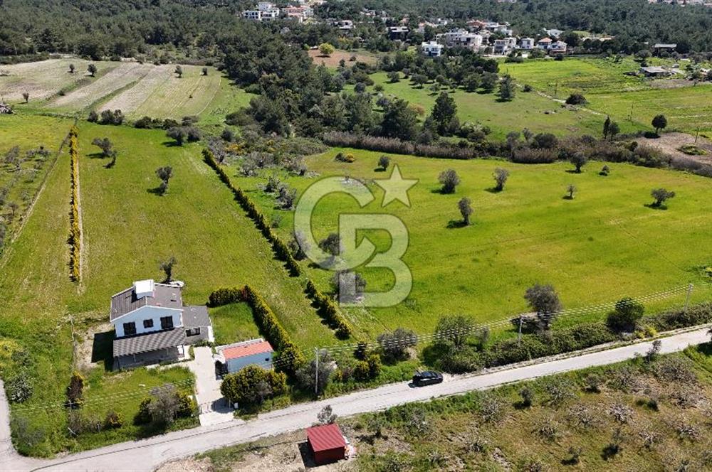 URLA KALABAK'TA 3300 M2 SATILIK HİSSELİ TARLA