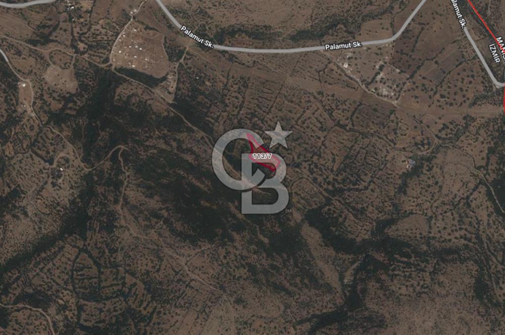 CB ODAK'TAN ALİAĞA KARAKUZU'DA YATIRIMLIK VE HOBİYE UYGUN TARLA