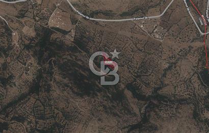 CB ODAK'TAN ALİAĞA KARAKUZU'DA YATIRIMLIK VE HOBİYE UYGUN TARLA