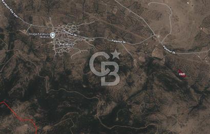 CB ODAK'TAN ALİAĞA KARAKUZU'DA YATIRIMLIK VE HOBİYE UYGUN TARLA