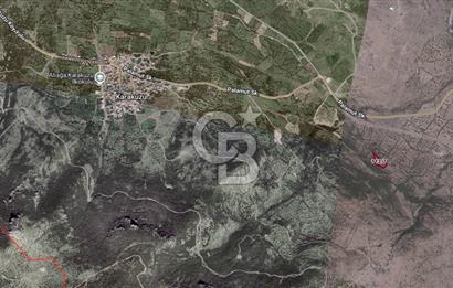 CB ODAK'TAN ALİAĞA KARAKUZU'DA YATIRIMLIK VE HOBİYE UYGUN TARLA