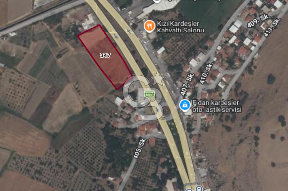 CB ODAK'TAN MENEMEN BURUNCUKTA YOLA CEPHELİ SATILIK 5.597M2