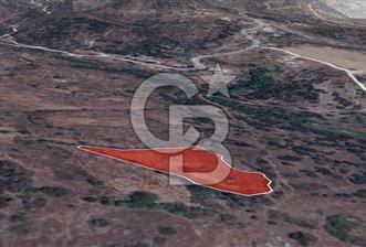 Muğla Yatağan Yava Satılık Müstakil Parsel Tarla - 1 - 345708