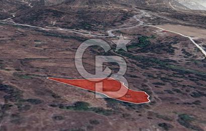 Muğla Yatağan Yava Satılık Müstakil Parsel Tarla