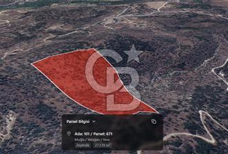 Muğla Yatağan Yava Satılık 4.135.000 TL Zeytinlik - 2 - 345707