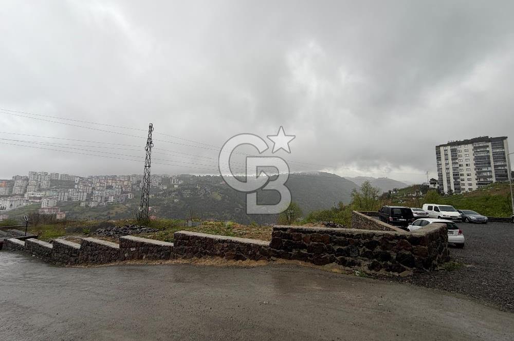 ÇUKURÇAYIR ÖZKAYMALI'DA SİTE İÇİNDE 1+1 KİRALIK GİRİŞ KAT DAİRE