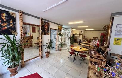 SANCAK MAH CANLI MÜZİK VE TÜM EKİPMANLARIYLA DEVREN KİRALIK CAFE