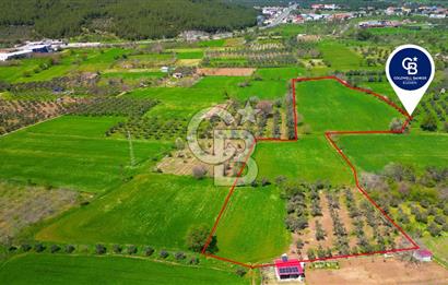 Muğla Ula Köprübaşı’nda Satılık Yatırımlık Tarla