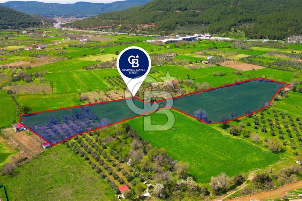 Muğla Ula Köprübaşı’nda Satılık Yatırımlık Tarla
